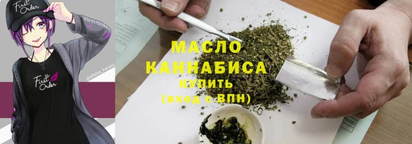 индика Осинники