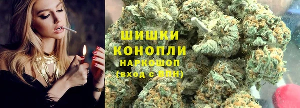 крисы Осташков