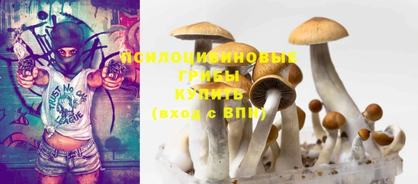 дживик Остров