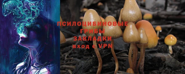 крисы Осташков