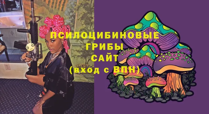 купить наркоту  Абакан  Галлюциногенные грибы Psilocybine cubensis 