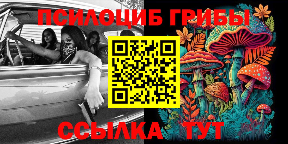 Галлюциногенные грибы мухоморы Абакан